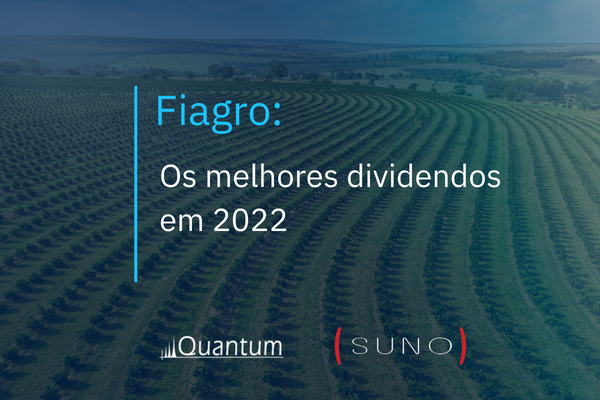 Fiagros: os melhores dividendos em 2022